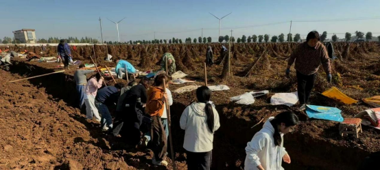 图片.png 图片.png